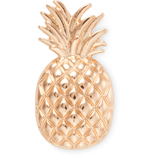 Crocs on sale | Gold Pineapple Jibbitz Shoe Charm
