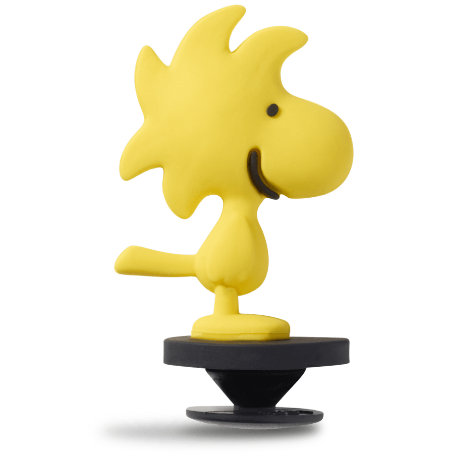 Crocs on sale | 3D Woodstock Jibbitz™ charms