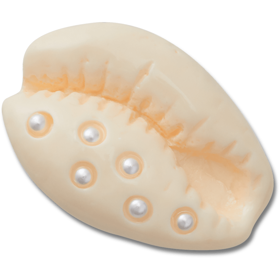 Crocs Discount | Pearl Puka Shell Jibbitz™ charms